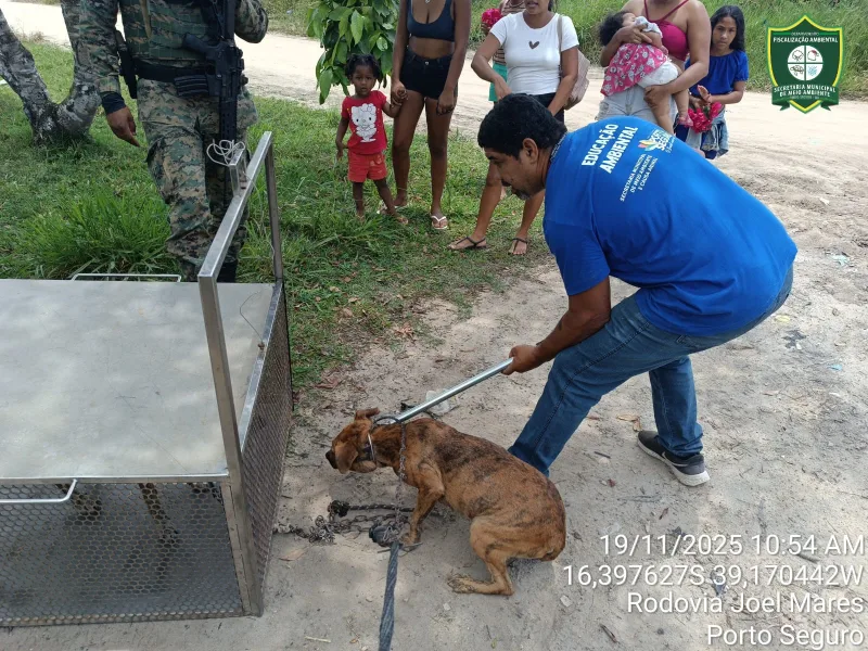 CIPPA/PS e Semac atuam contra maus-tratos e salvam cães em Porto Seguro.