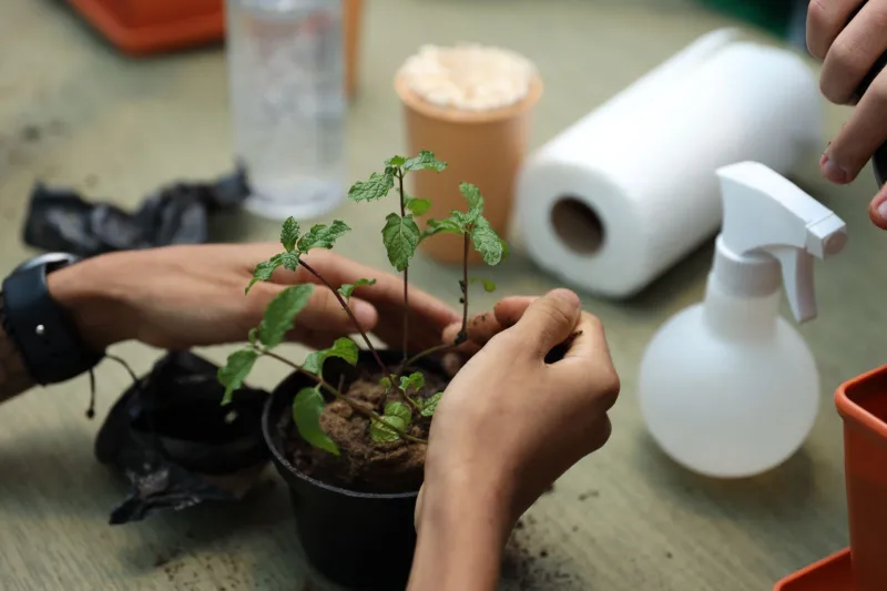 Fenagro 2025 é aberta em Salvador com expectativa de 200 mil visitantes, até domingo (7)