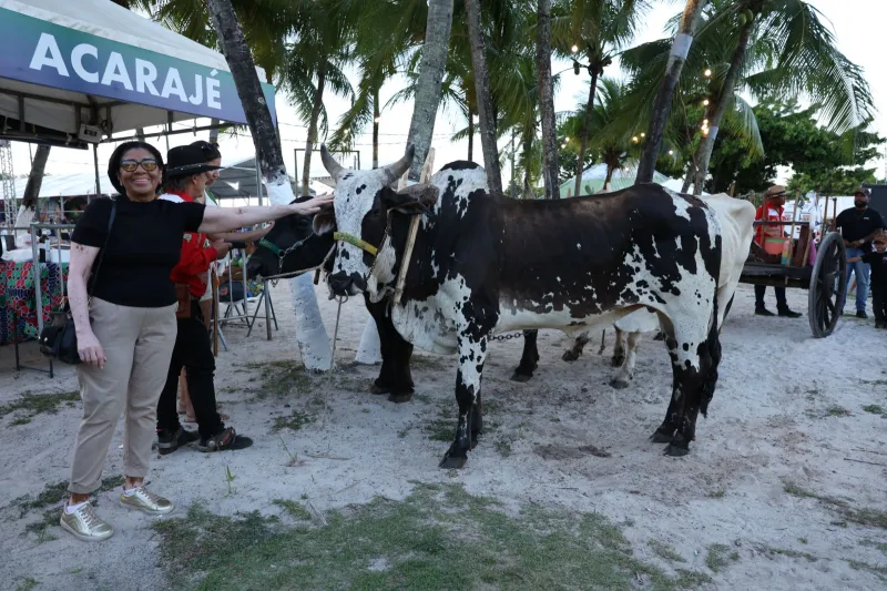 Fenagro 2025 é aberta em Salvador com expectativa de 200 mil visitantes, até domingo (7)