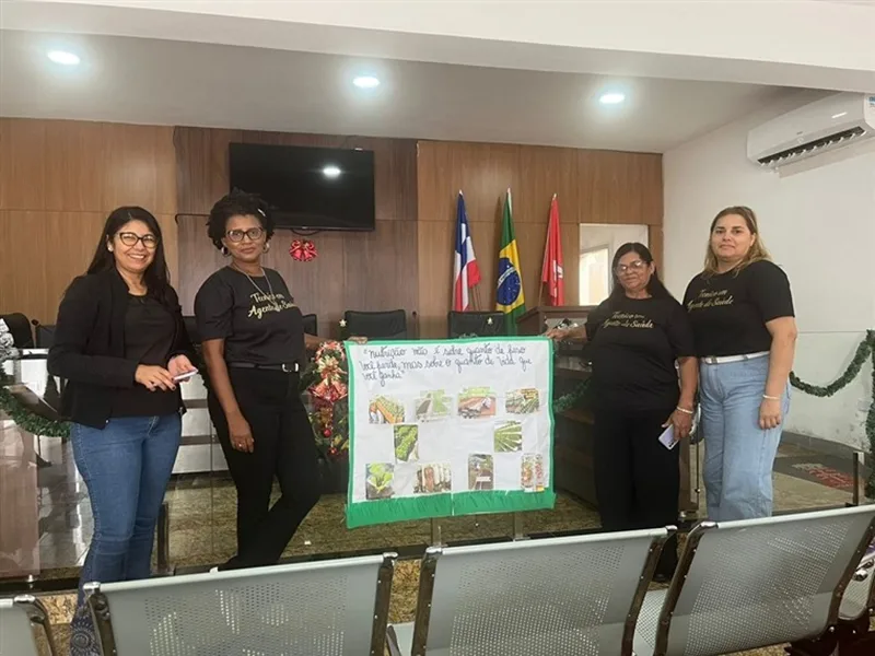 Ibirapuã conclui curso de atualização sobre Mortalidade Materna e Infantil para agentes de saúde Ibirapuã conclui curso de atualização sobre Mortalidade Materna e Infantil para agentes de saúde