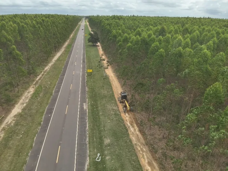 Aceiros ajudam a proteger florestas da propagação de incêndios na Bahia e no Espírito Santo