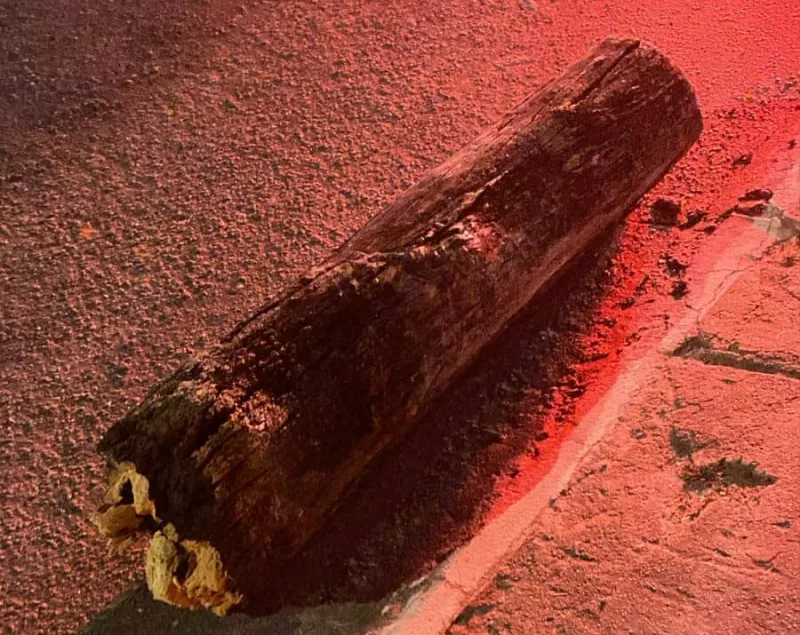 Motociclista morre após acidente na ladeira do Canequinho em Itamaraju Motociclista morre após acidente na ladeira do Canequinho em Itamaraju