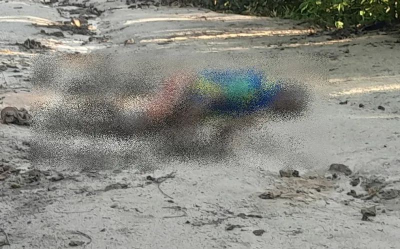 Corpo de idoso, desaparecido em Itamaraju, é encontrado em mata fechada