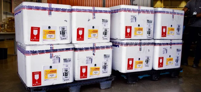  Bahia recebe mais de 44 mil doses da vacina contra o vírus sincicial respiratório nesta quarta-feira (3)