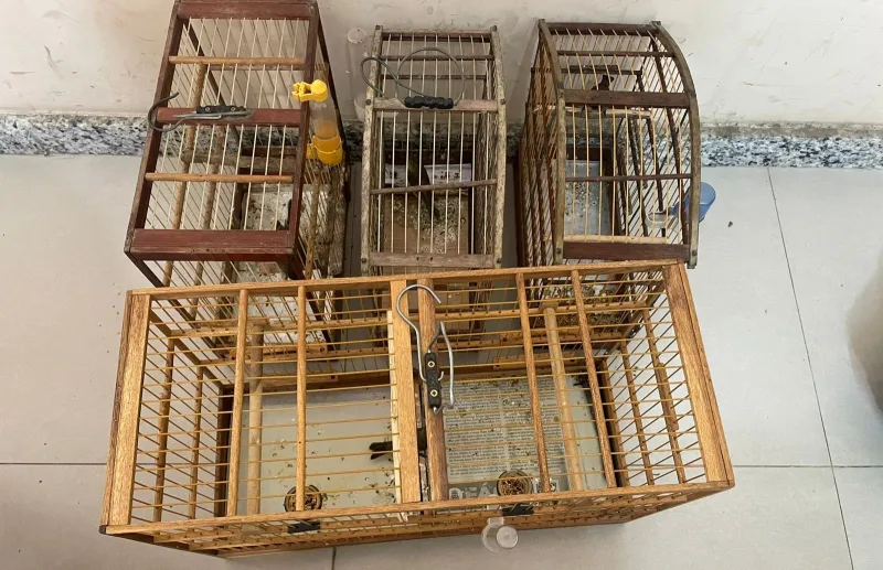 Polícia apreende grande quantidade de drogas e animais silvestres em Eunápolis Polícia apreende grande quantidade de drogas e animais silvestres em Eunápolis