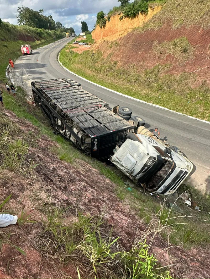 Tombamento de caminhão carregado de bois fecha BR-101 por horas na altura de Itamaraju