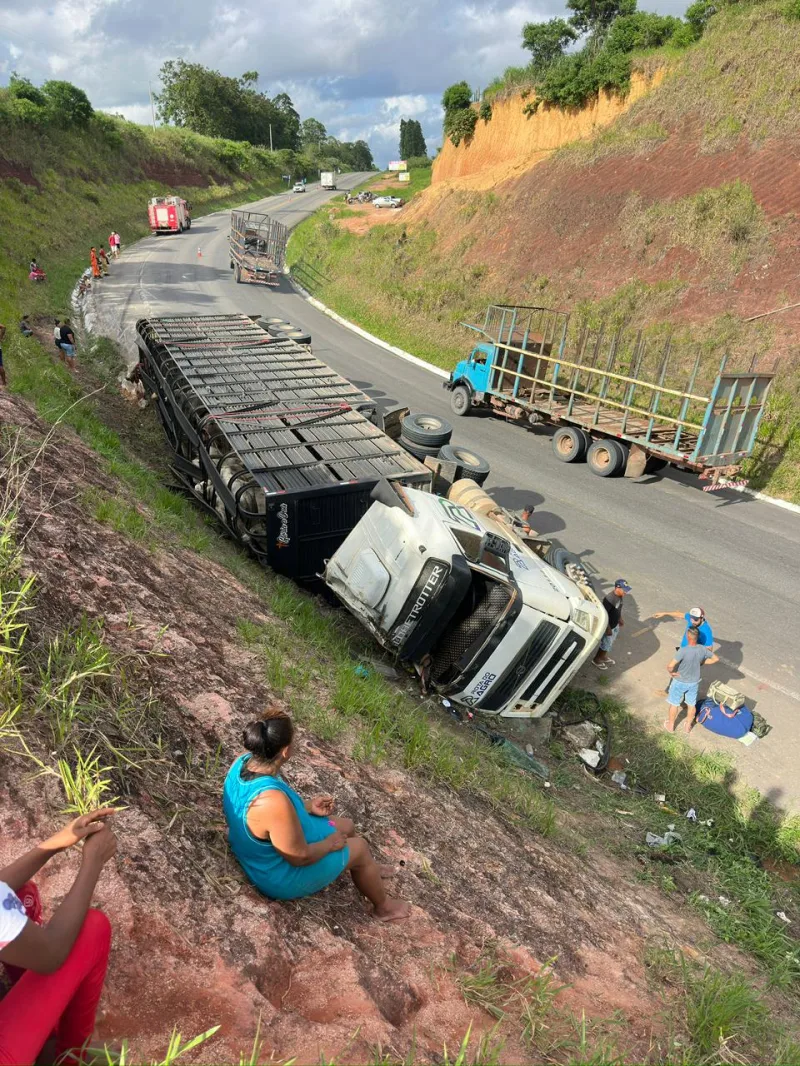 Tombamento de caminhão carregado de bois fecha BR-101 por horas na altura de Itamaraju