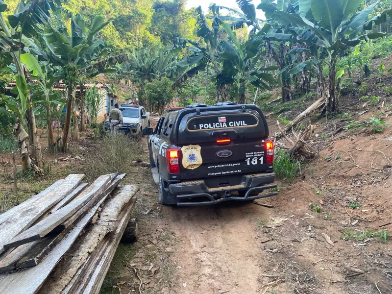 Ação conjunta da Polícia Civil e Militar apreende plantação de maconha na zona rural de Guaratinga
