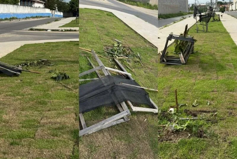 Vandalismo danifica projeto de arborização na Avenida Nova Venécia em Teixeira de Freitas Vandalismo danifica projeto de arborização na Avenida Nova Venécia em Teixeira de Freitas