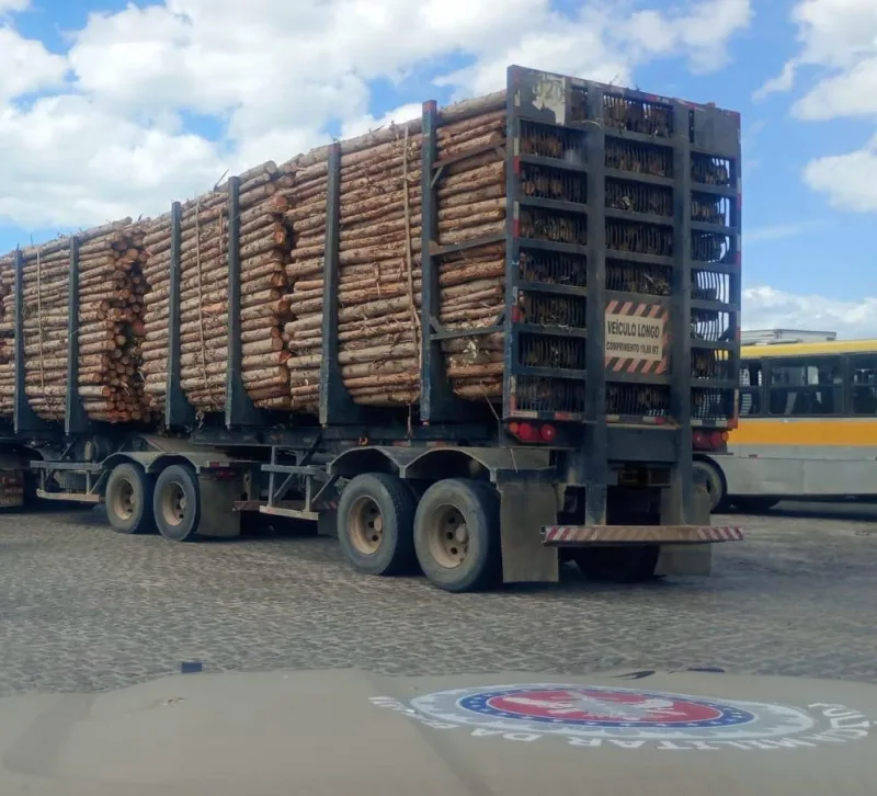 Homem é preso por furto de madeira em Itamaraju Homem é preso por furto de madeira em Itamaraju