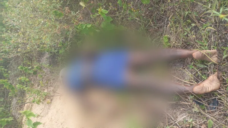 Corpo de mulher sem identificação é encontrado próximo a assentamento em Porto Seguro Corpo de mulher sem identificação é encontrado próximo a assentamento em Porto Seguro