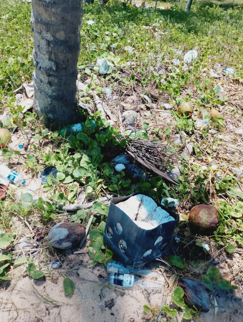 Projeto Verde Mar lamenta destruição de ninhos de tartarugas durante o Réveillon em Prado.