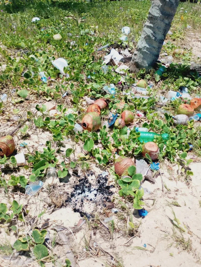 Projeto Verde Mar lamenta destruição de ninhos de tartarugas durante o Réveillon em Prado.