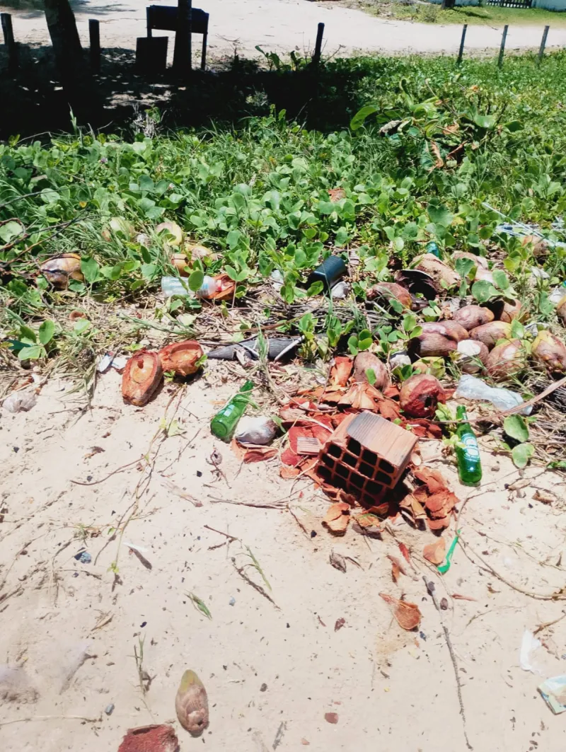 Projeto Verde Mar lamenta destruição de ninhos de tartarugas durante o Réveillon em Prado.