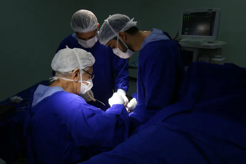 Bahia registra aumento de 33% e alcança 1.384 transplantes de órgãos em 2025