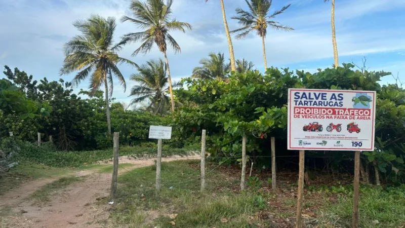 Parceria entre SEMAM, ASACAM e Centro TAMAR/ICMBio fortalece proteção das tartarugas marinhas em Mucuri