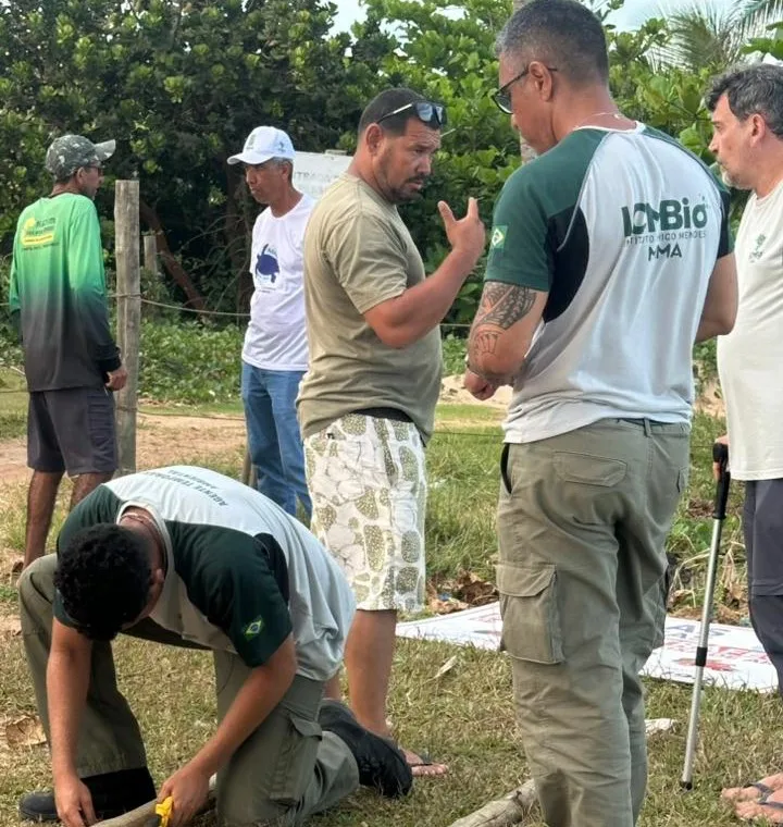 Parceria entre SEMAM, ASACAM e Centro TAMAR/ICMBio fortalece proteção das tartarugas marinhas em Mucuri