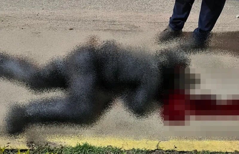 Motociclista morre em acidente na BR-101; motorista fugiu após colisão