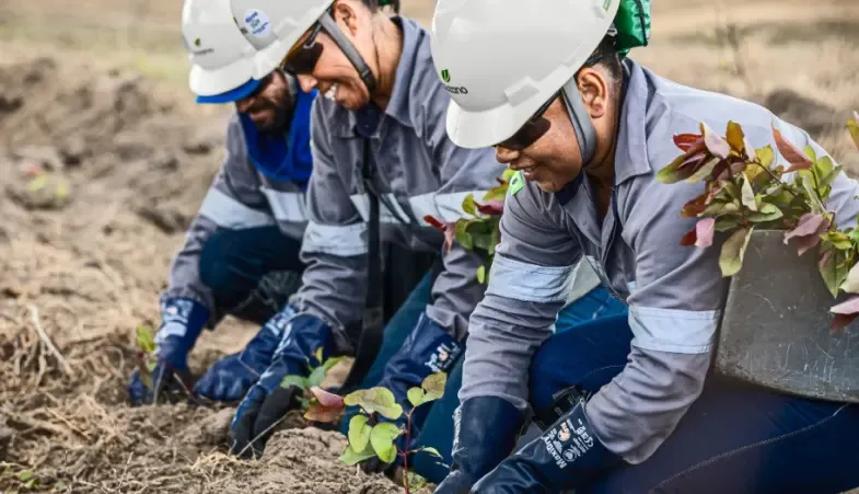 Suzano: Vagas de trabalho no Extremo Sul da Bahia