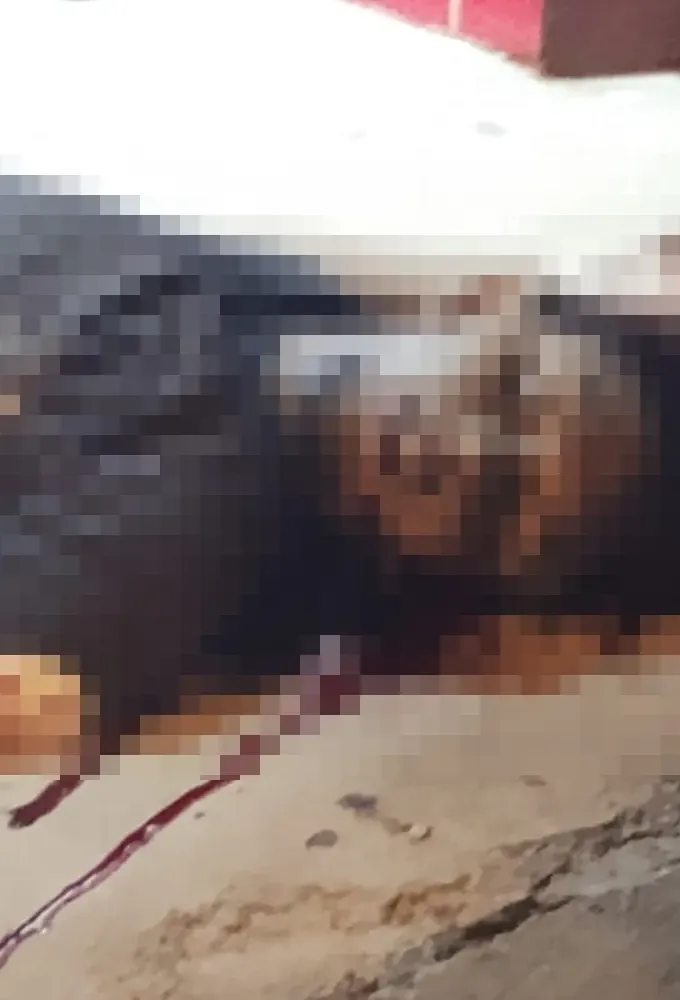 Homem é morto a tiros na Avenida Amor Perfeito, no Colina Verde