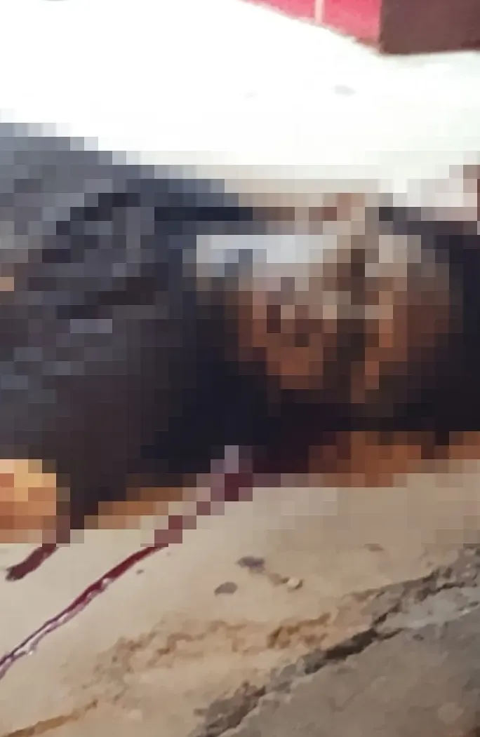 Homem é morto a tiros na Avenida Amor Perfeito, no Colina Verde Homem é morto a tiros na Avenida Amor Perfeito, no Colina Verde