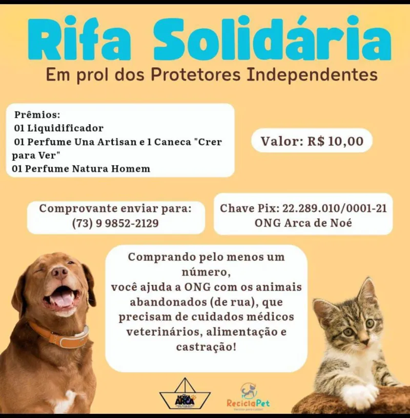 Teixeira: ONG Nossa Arca promove rifa solidária para ajudar animais abandonados