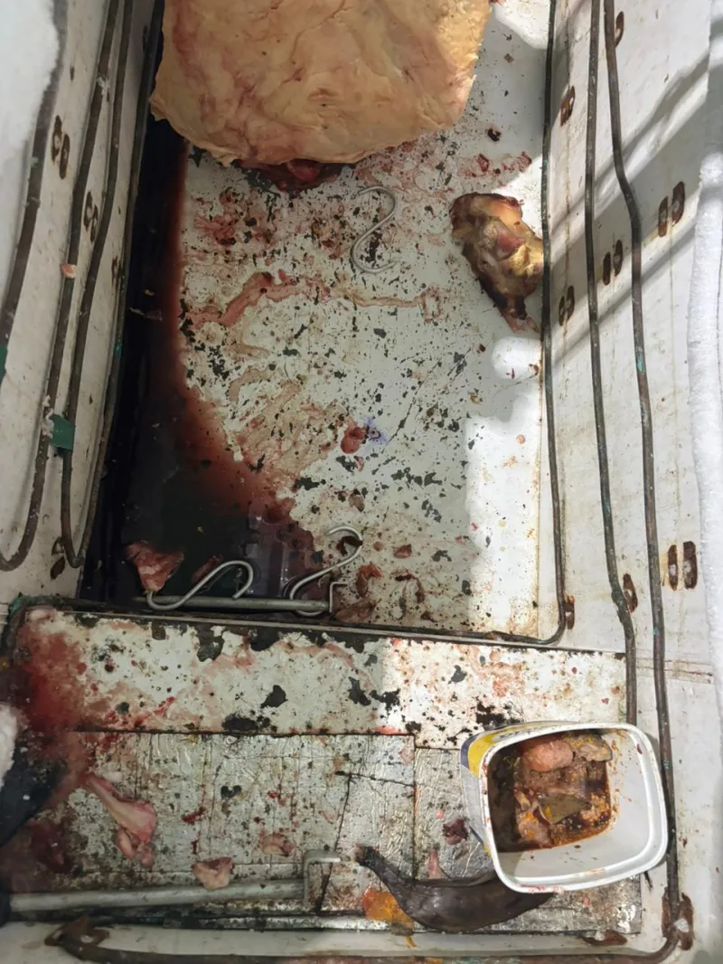 Polícia Civil e Vigilância Sanitária avançam contra esquema de carne clandestina em açougues da Bahia