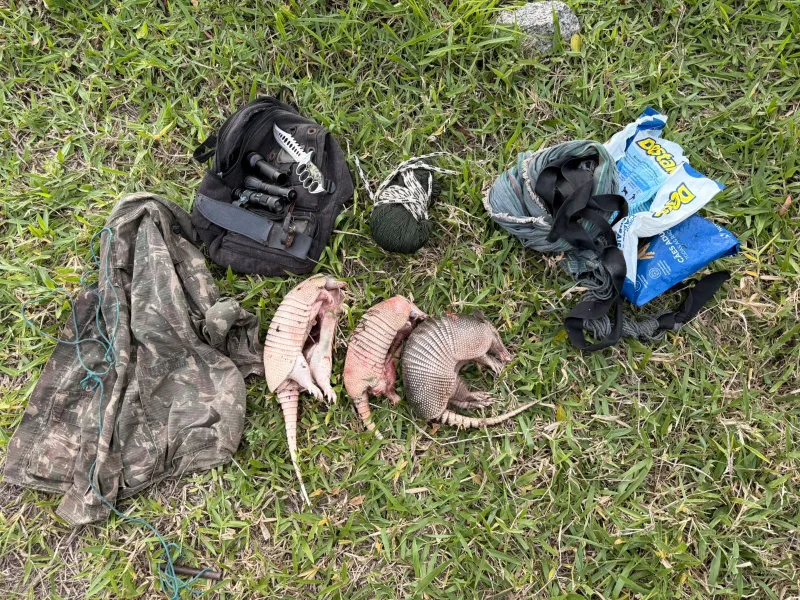 CIPPA/PS Apreende Armas e Animais Silvestres em Operação Contra Caça Ilegal em Itagimirim.