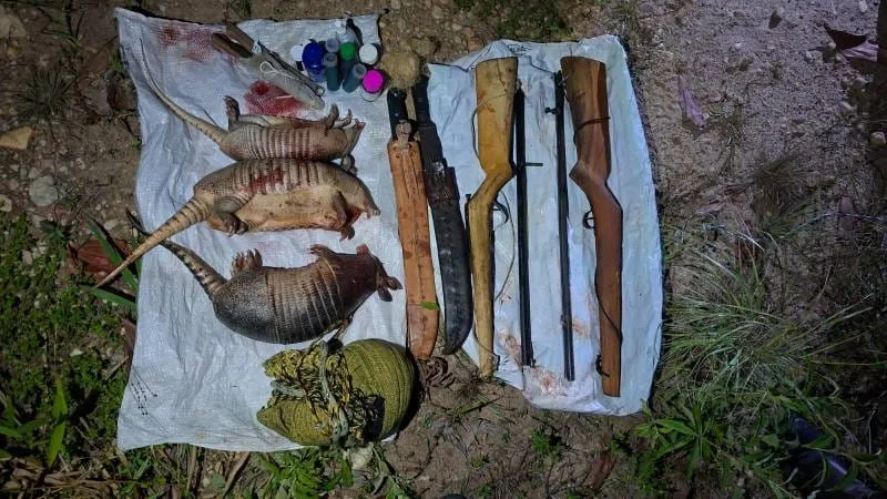 PM atua no combate ao crime ambiental na cidade de Itagimirim