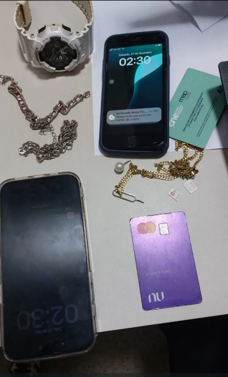 Polícia Civil identifica e prende autores de furto durante o Carnaporto Axé Moi