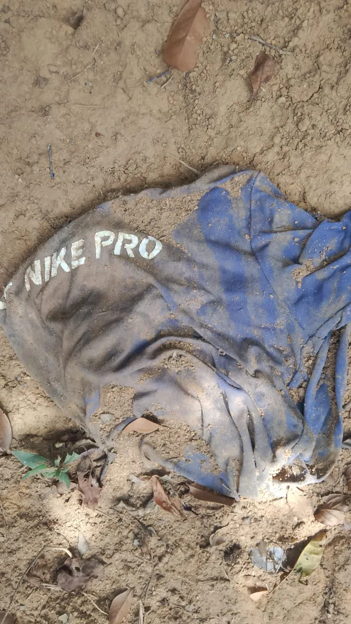 Ossada humana é encontrada em área de matagal às margens da BR-101 em Itabela