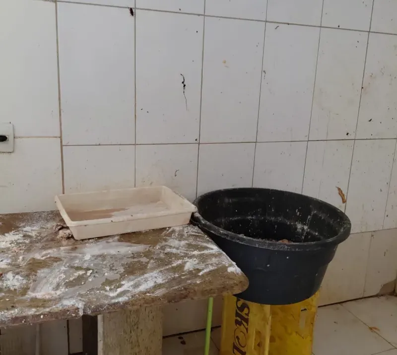 Polícia Civil e Vigilância Sanitária avançam contra esquema de carne clandestina em açougues da Bahia