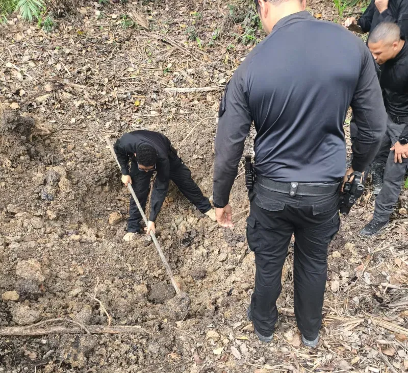 Operação FOSSOR: 4 presos após corpo de idoso ser encontrado em local ermo em Itamaraju Operação FOSSOR: 4 presos após corpo de idoso ser encontrado em local ermo em Itamaraju