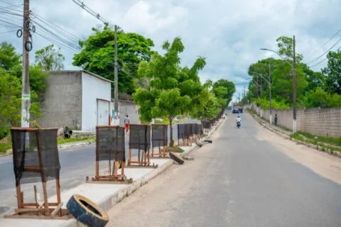    Prefeitura de Teixeira de Freitas realiza melhorias no paisagismo da Avenida Kaikan em Teixeira de Freitas