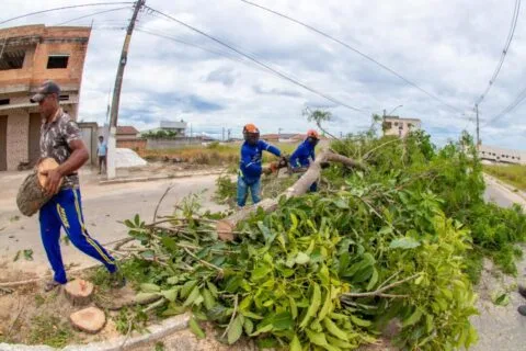    Prefeitura de Teixeira de Freitas realiza melhorias no paisagismo da Avenida Kaikan em Teixeira de Freitas