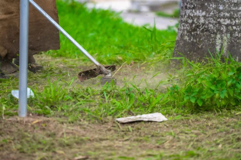 Força-tarefa atua para prevenir alagamentos e recuperar vias danificadas em Teixeira de Freitas