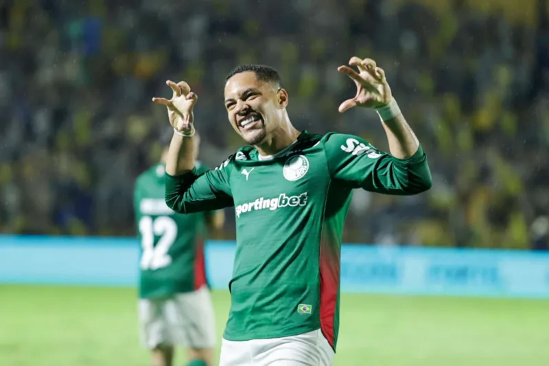 Em final marcada pela chuva, Palmeiras volta a vencer o Novorizontino e conquista o Paulistão  