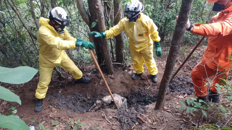 Após meses de buscas, polícia encontra ossada que pode ser de casal sequestrado em Nova Viçosa