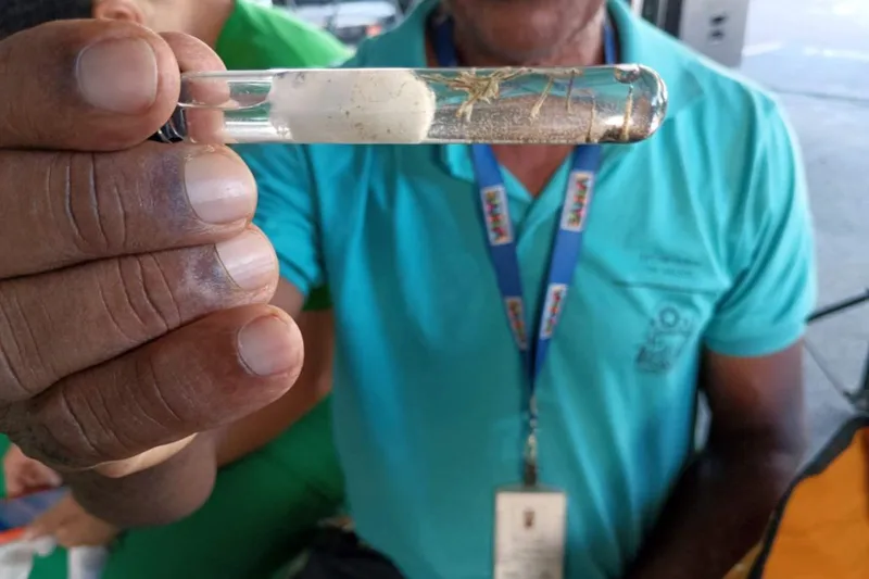 Bahia publica portaria que regulamenta acesso a imóveis em ações de vigilância em saúde