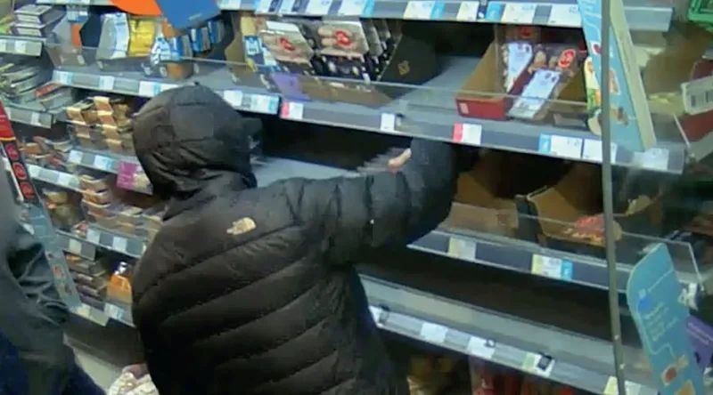 Câmara aprova autorização para estabelecimento comercial divulgar imagens de pessoas flagradas cometendo crime  