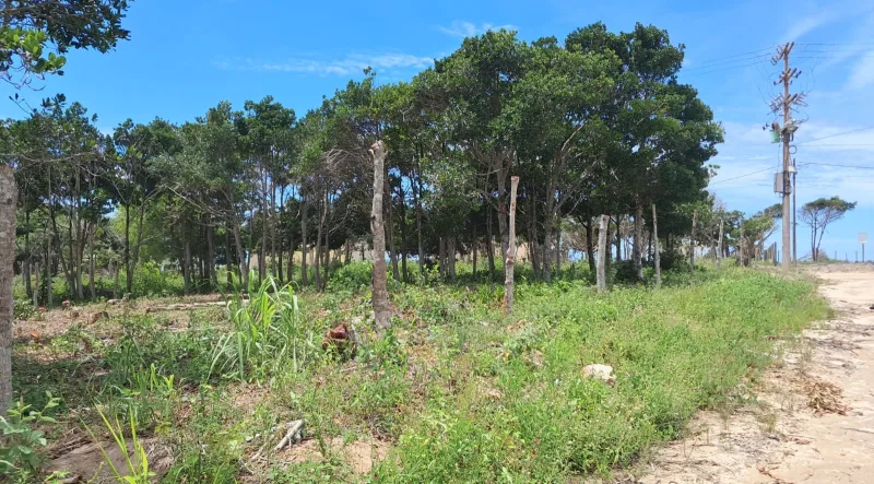 Operação da Polícia Civil em conjunto com a 89ª CIPM detem um homem e uma mulher pela venda de terreno em área invadida em Costa Dourada/BA Operação da Polícia Civil em conjunto com a 89ª CIPM detem um homem e uma mulher pela venda de terreno em área invadida em Costa Dourada/BA