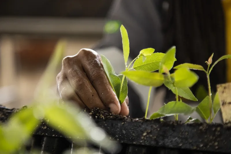 Suzano passa a integrar campanha internacional de preservação da natureza