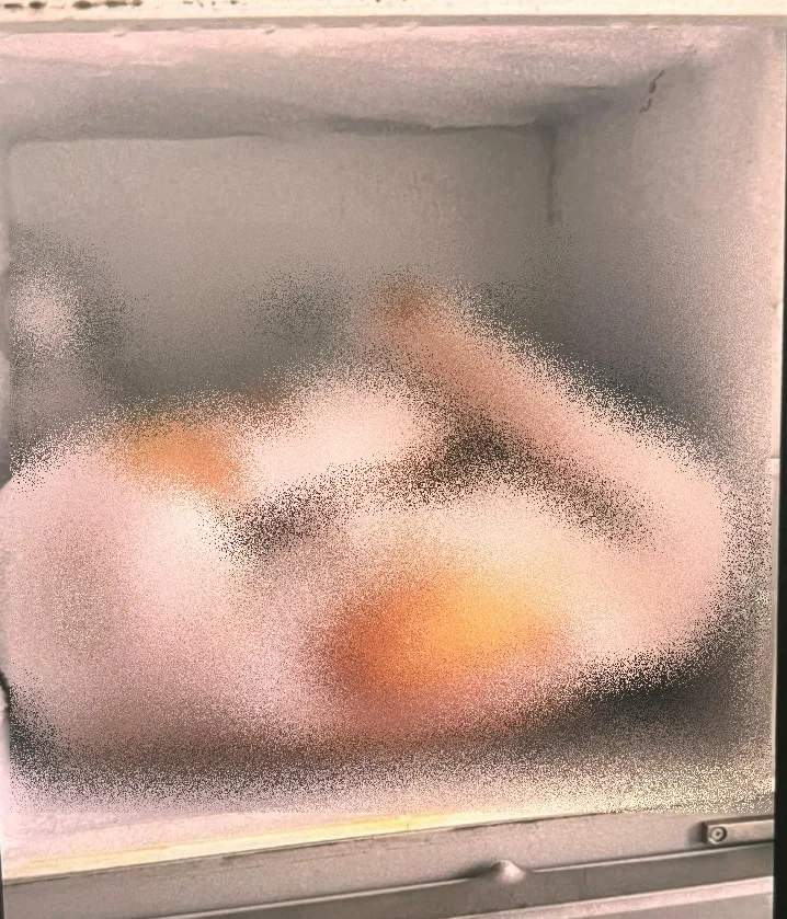 Suspeito de matar jovem e esconder corpo em congelador em Vitória da Conquista é preso em Ilhéus Suspeito de matar jovem e esconder corpo em congelador em Vitória da Conquista é preso em Ilhéus