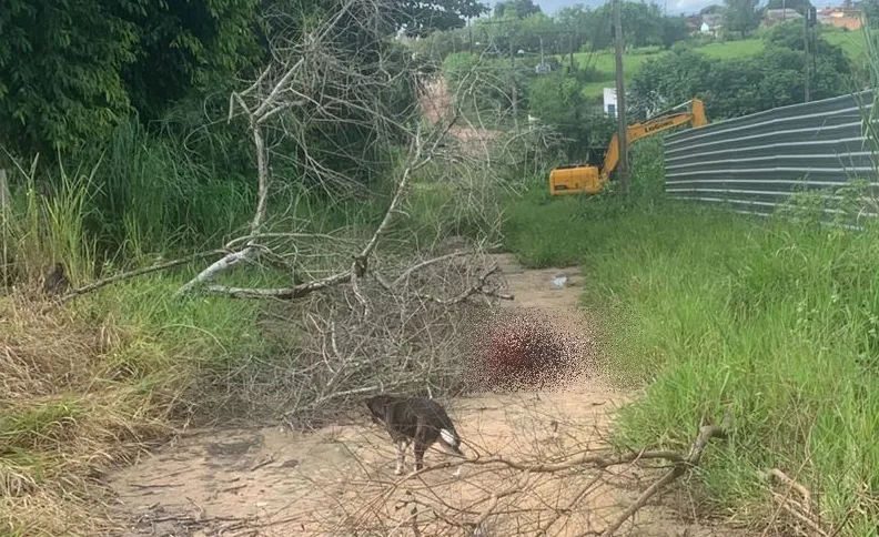 Homem é brutalmente atacado com golpes de facões no bairro irmã Dulce Homem é brutalmente atacado com golpes de facões no bairro irmã Dulce