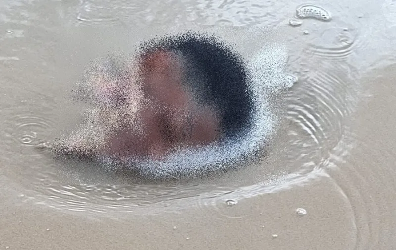 Corpo decapitado é encontrado na Praia da Barrinha, em Ilhéus