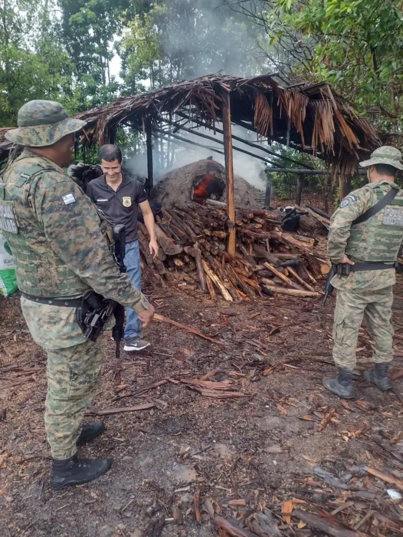 Combate ao carvão ilegal em Posto da Mata e  Serra do Ramalho resulta em apreensões e destruição de fornos