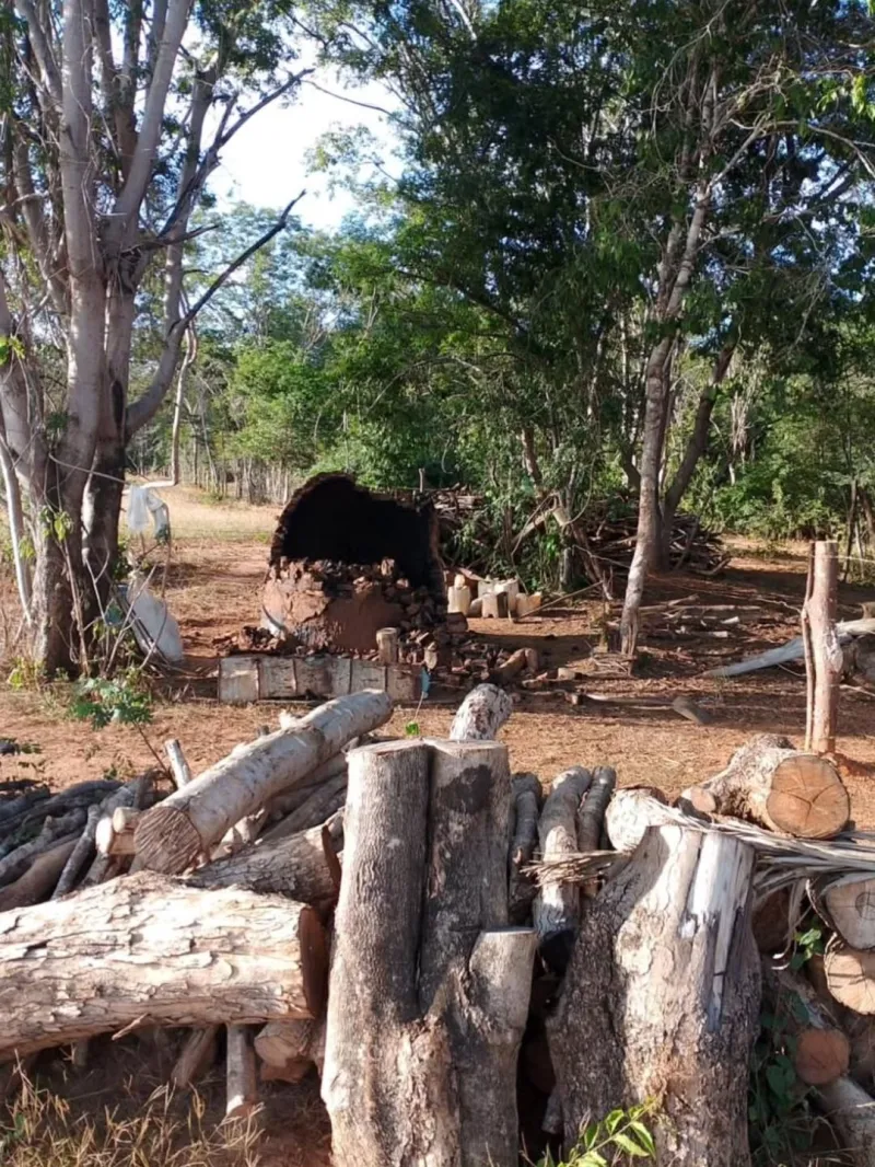 Combate ao carvão ilegal em Posto da Mata e  Serra do Ramalho resulta em apreensões e destruição de fornos