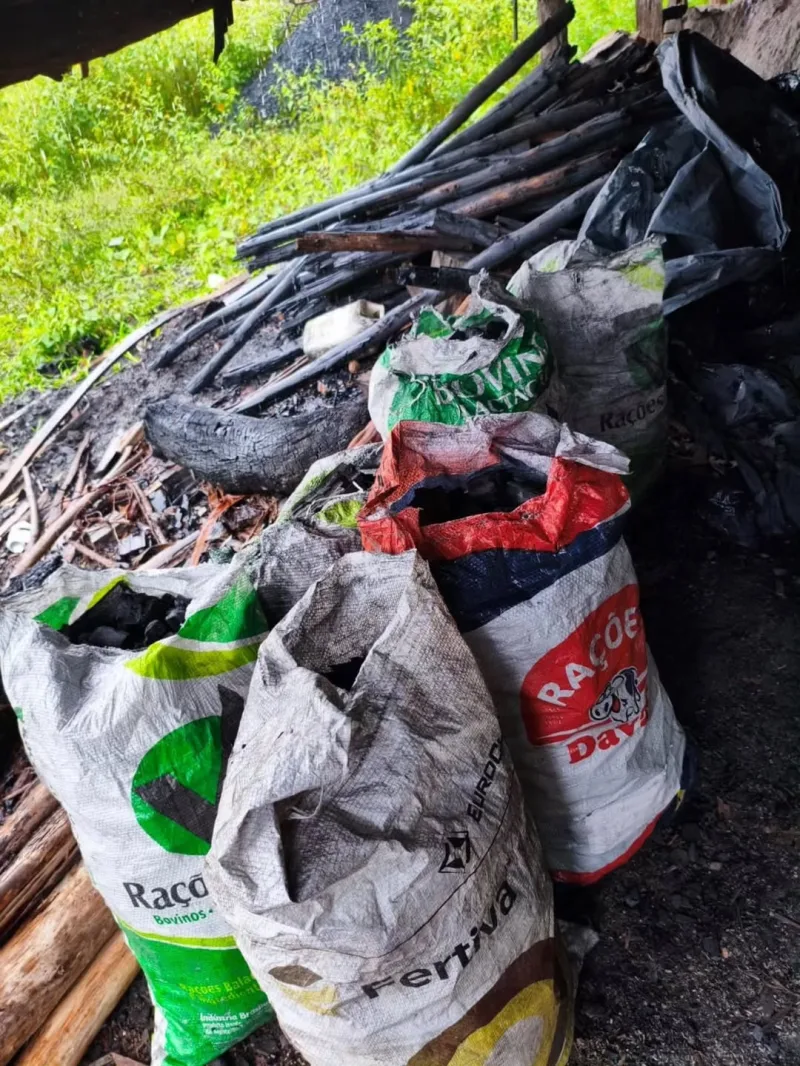 Combate ao carvão ilegal em Posto da Mata e  Serra do Ramalho resulta em apreensões e destruição de fornos