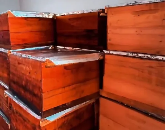 Produtores de mel recebem equipamentos e ganham reforço no campo em Itanhém Produtores de mel recebem equipamentos e ganham reforço no campo em Itanhém