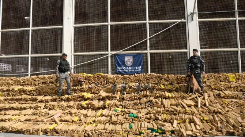 Cão farejador ajuda PM a localizar quase 50 toneladas de maconha em bunker no Rio de Janeiro Cão farejador ajuda PM a localizar quase 50 toneladas de maconha em bunker no Rio de Janeiro